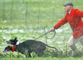 Hare Coursing equals legalised  animal abuse.