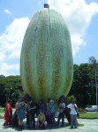 El Gran Cacao/Rio Chico/Barlovento-Venezuela