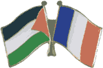 pl538_palestinefranceflagpins.gif